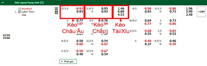 bảng kèo trận đấu Brentford vs Luton Town