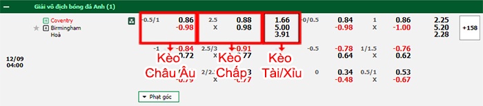 bảng kèo trận đấu Coventry vs Birmingham