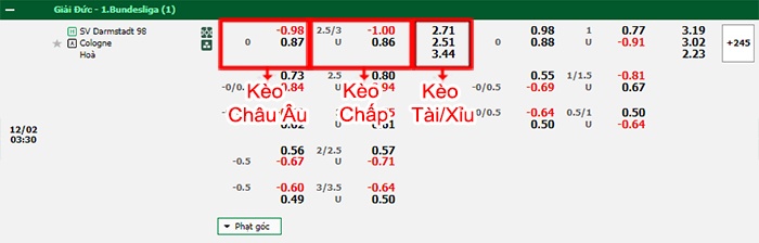 bảng kèo trận đấu Darmstadt vs Cologne