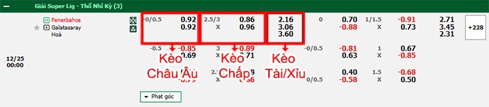 bảng kèo trận đấu Fenerbahce vs Galatasaray