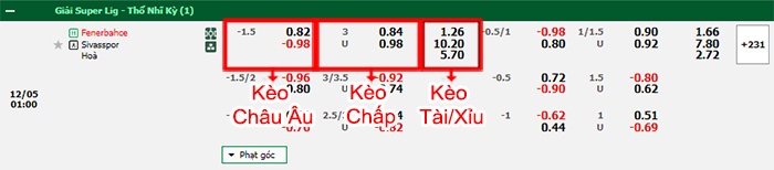 bảng kèo trận đấu Fenerbahce vs Sivasspor
