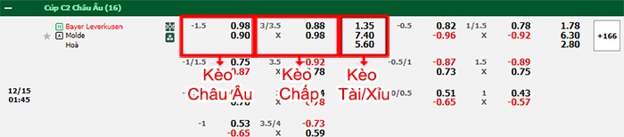 bảng kèo trận đấu Leverkusen vs Molde