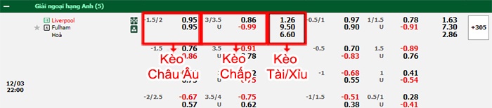 bảng kèo trận đấu Liverpool vs Fulham