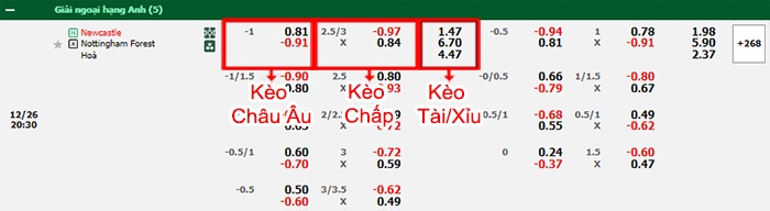 bảng kèo trận đấu Newcastle vs Nottingham