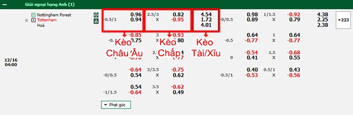 bảng kèo trận đấu Nottingham vs Tottenham