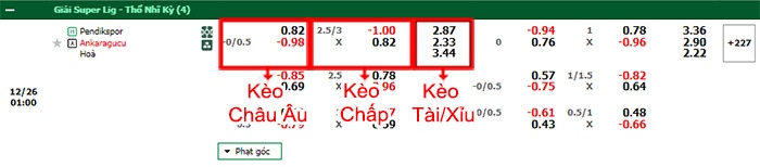 bảng kèo trận đấu Pendikspor vs Ankaragucu