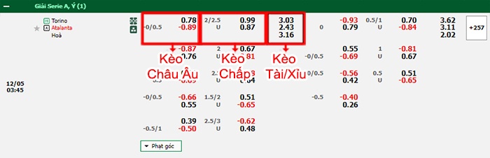 bảng kèo trận đấu Torino vs Atalanta