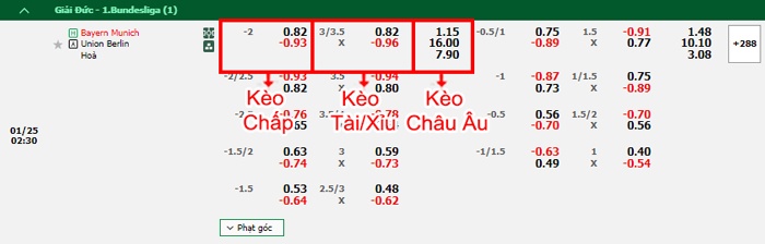 bảng kèo trận đấu Bayern Munich vs Union Berlin