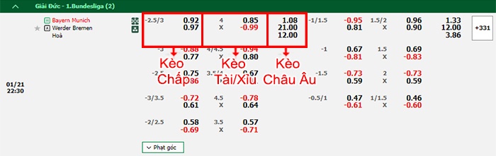bảng kèo trận đấu Bayern Munich vs Bremen