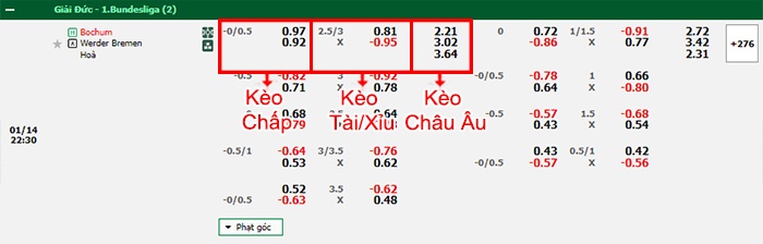 bảng kèo trận đấu Bochum vs Bremen