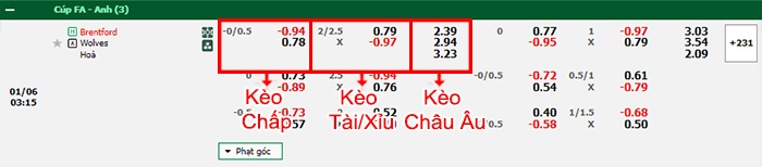 bảng kèo trận đấu Brentford vs Wolves