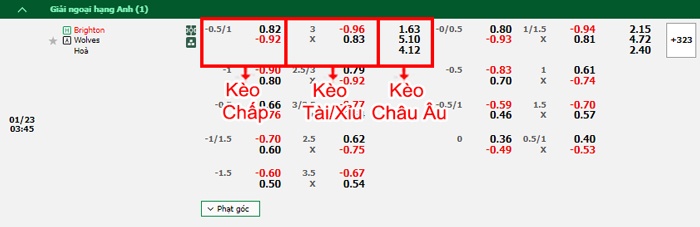 bảng kèo trận đấu Brighton vs Wolves