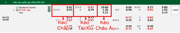 bảng kèo trận đấu Guinea Xích Đạo vs Bờ Biển Ngà