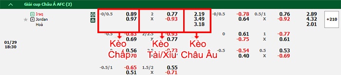 bảng kèo trận đấu Iraq vs Jordan
