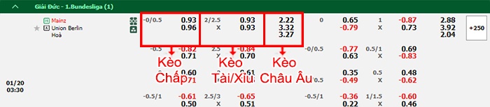 bảng kèo trận đấu Mainz vs Union Berlin