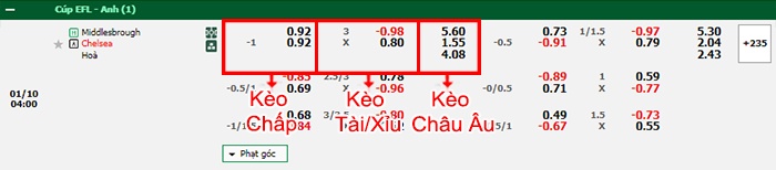 bảng kèo trận đấu Middlesbrough vs Chelsea