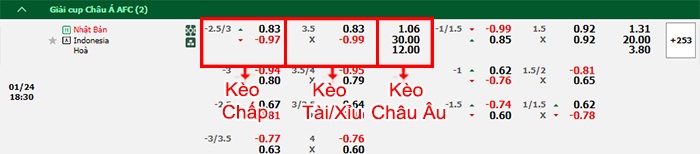 bảng kèo trận đấu Nhật Bản vs Indonesia