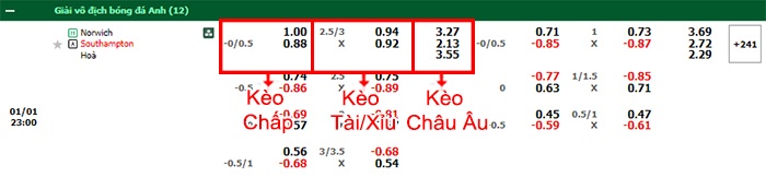 bảng kèo trận đấu Norwich City vs Southampton