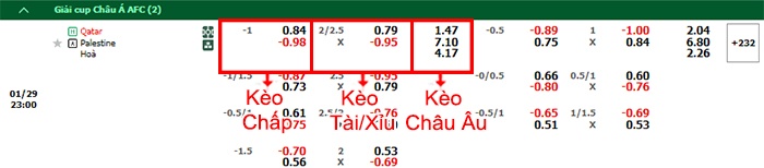 bảng kèo trận đấu Qatar vs Palestine