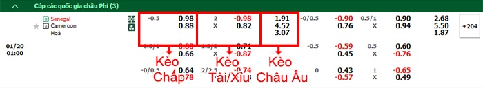 bảng kèo trận đấu Senegal vs Cameroon