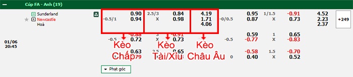bảng kèo trận đấu Sunderland vs Newcastle