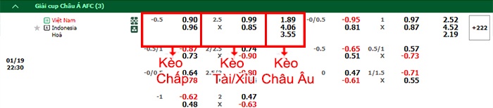 bảng kèo trận đấu Việt Nam vs Indonesia