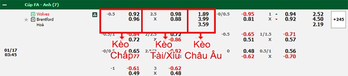 bảng kèo trận đấu Wolves vs Brentford