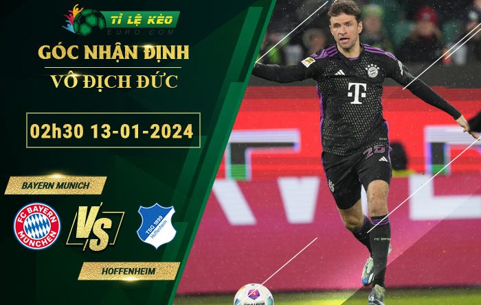chi tiết kèo đấu Bayern Munich vs Hoffenheim