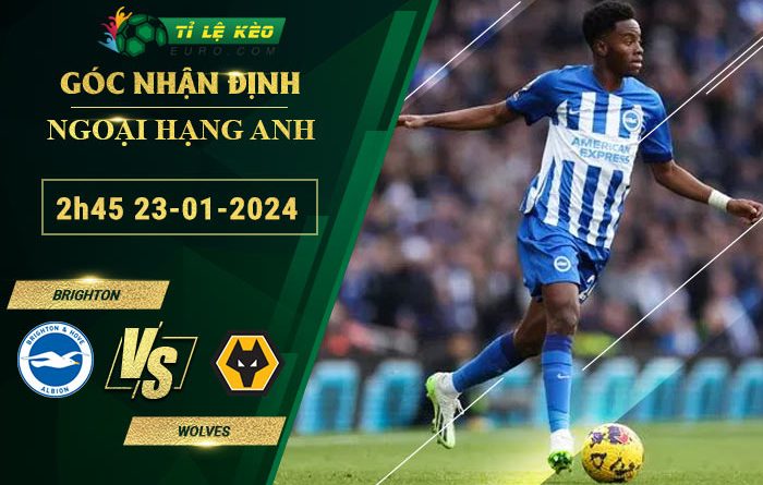 soi kèo Brighton vs Wolves
