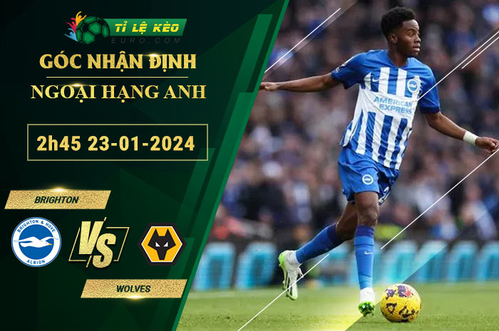 soi kèo Brighton vs Wolves