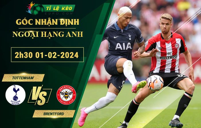 soi kèo Tottenham vs Brentford