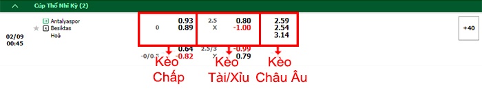 bảng kèo trận đấu Antalyaspor vs Besiktas