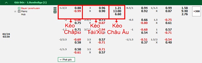 bảng kèo trận đấu Leverkusen vs Mainz