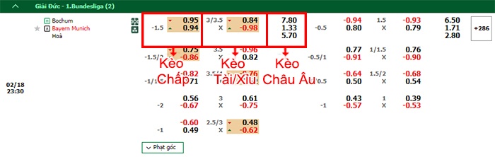 bảng kèo trận đấu Bochum vs Bayern Munich