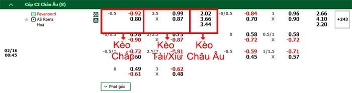 bảng kèo trận đấu Feyenoord vs AS Roma
