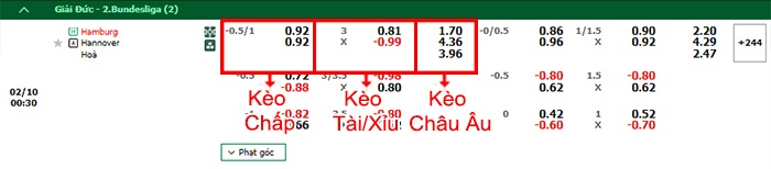 bảng kèo trận đấu Hamburg vs Hannover