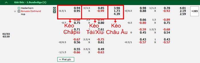 bảng kèo trận đấu Heidenheim vs Dortmund