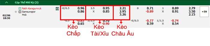 bảng kèo trận đấu Fatih Karagumruk vs Samsunspor