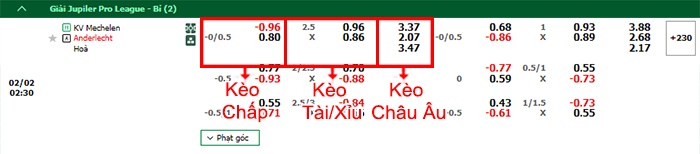 bảng kèo trận đấu Mechelen vs Anderlecht
