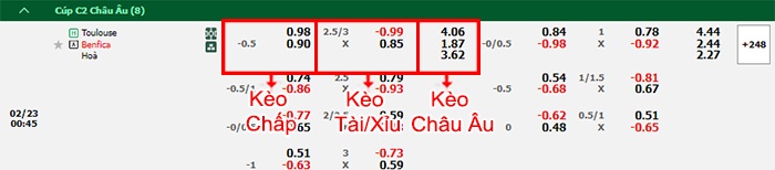 bảng kèo trận đấu Toulouse vs Benfica