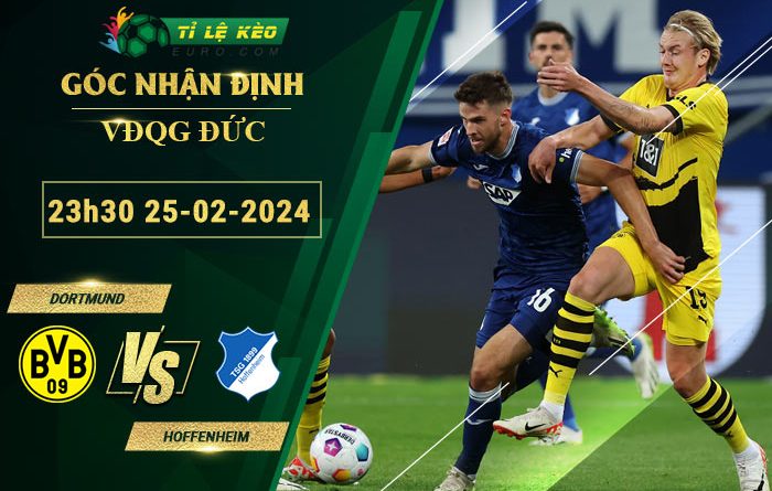 soi kèo Dortmund vs Hoffenheim