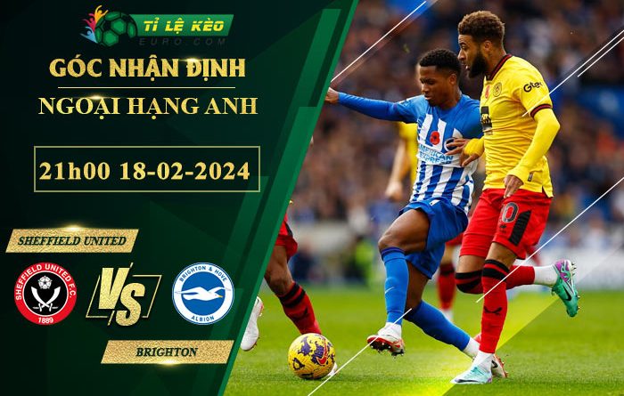 soi kèo Sheffield United vs Brighton