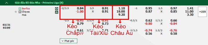 bảng kèo trận đấu Benfica vs Chaves