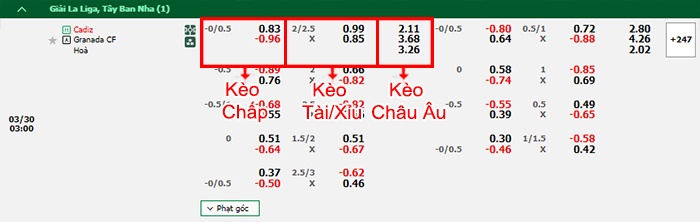bảng kèo trận đấu Cadiz vs Granada