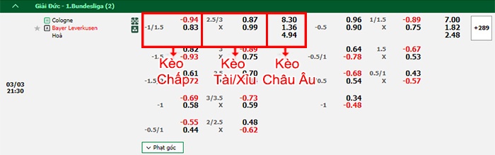 bảng kèo trận đấu Cologne vs Leverkusen