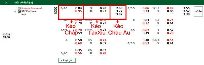 bảng kèo trận đấu Dortmund vs PSV