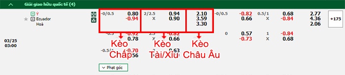 bảng kèo trận đấu Italia vs Ecuador