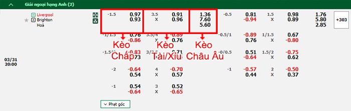 bảng kèo trận đấu Liverpool vs Brighton