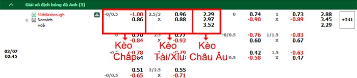 bảng kèo trận đấu Middlesbrough vs Norwichbảng kèo trận đấu Middlesbrough vs Norwich