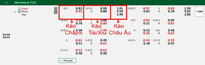 bảng kèo trận đấu Napoli vs Torino